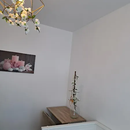 Jenu Apartment